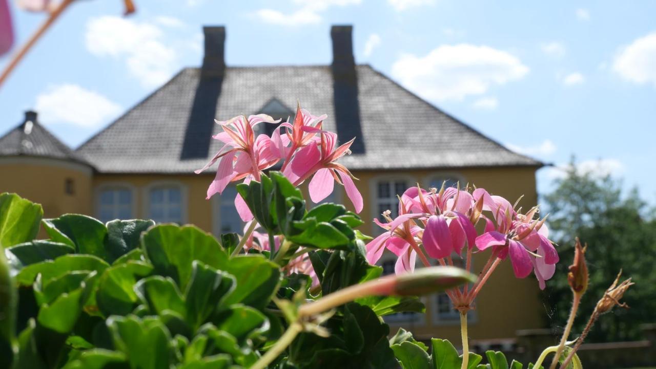 Hotel Schloss Diepenbrock Bocholt Ngoại thất bức ảnh
